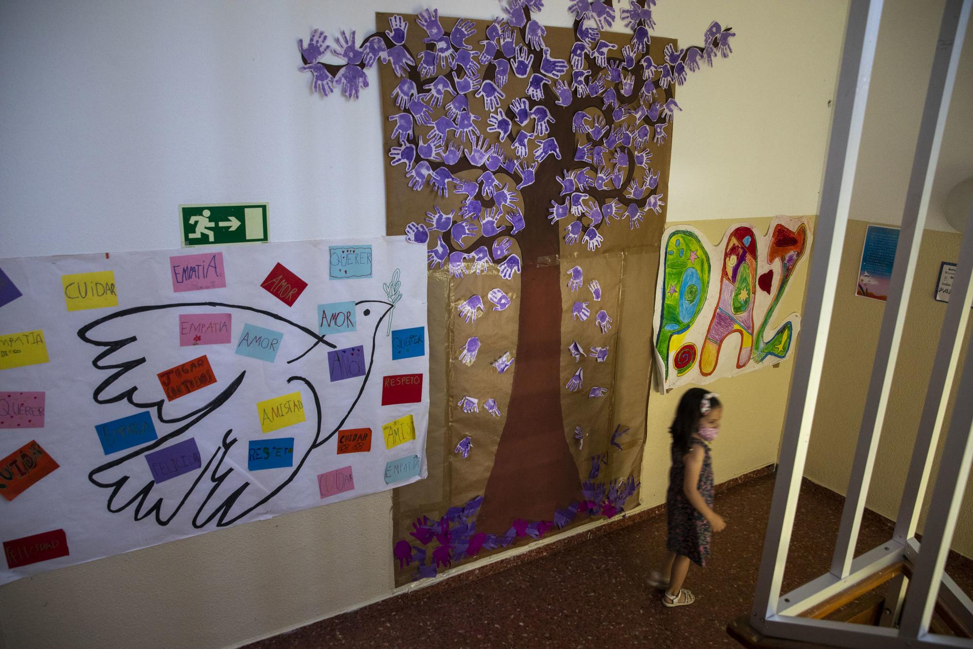 Colegio educacion primaria - 10